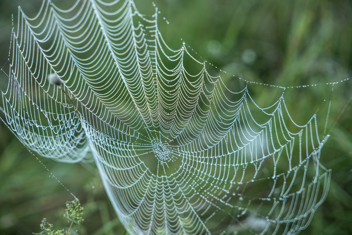    ,   ,      .   ,    ,    .   .