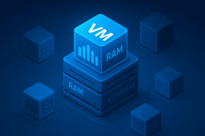    :      IT,  , , Vmware, Vsphere, , Sap, Oracle, , , Numa, 