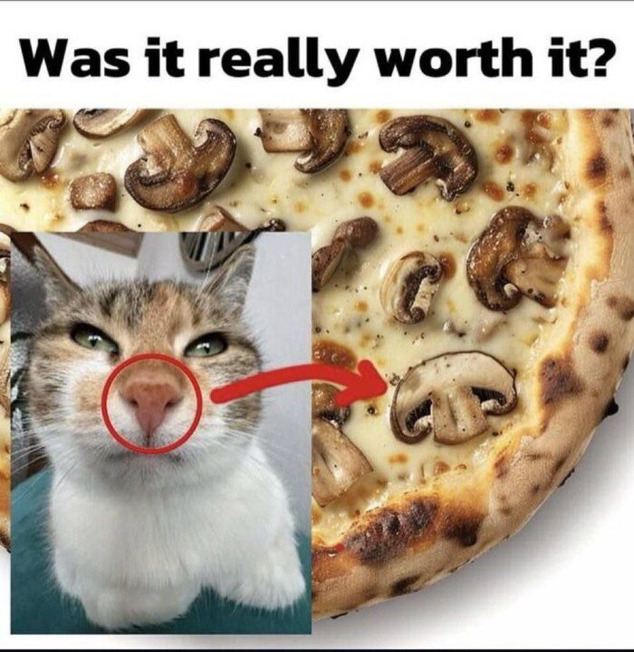    ? , ,   