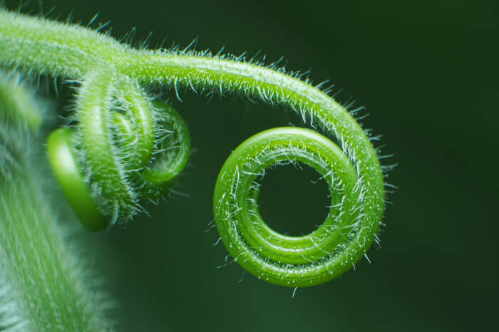 Спираль вселенной!