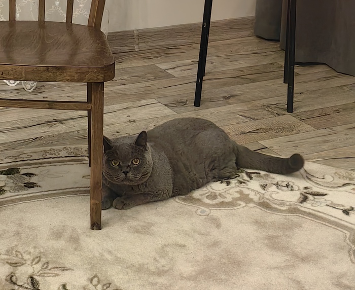 Хожу, катаю, что вот если бы... Да ка бы... Но он хотя бы не мучился, а раз и всё...