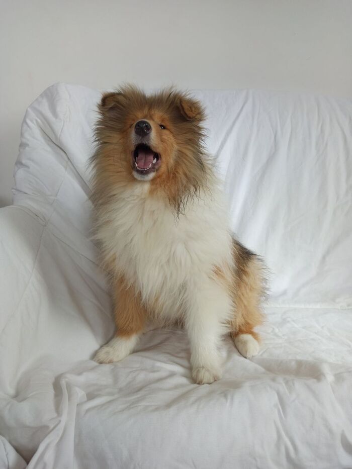 Я родилась в приличной семье