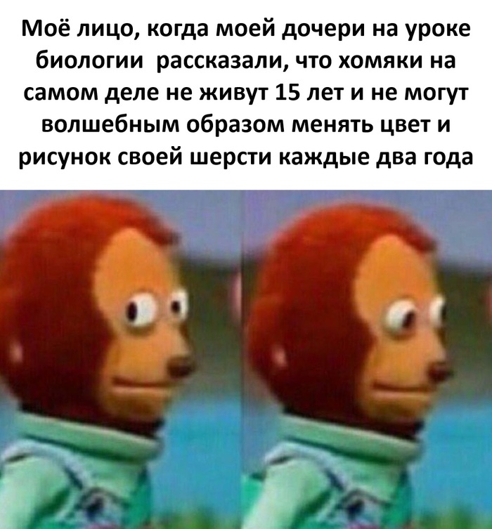    ,   , , , Telegram ()