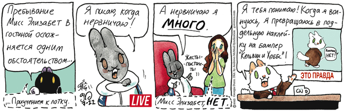    22.07.2025 , ,   (), 