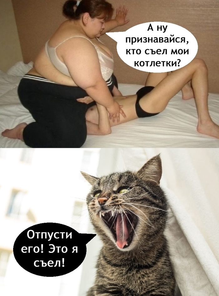 ... , , , , Telegram (),   