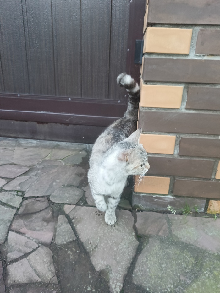 ,     ?   , ,   ,      ,  , , 