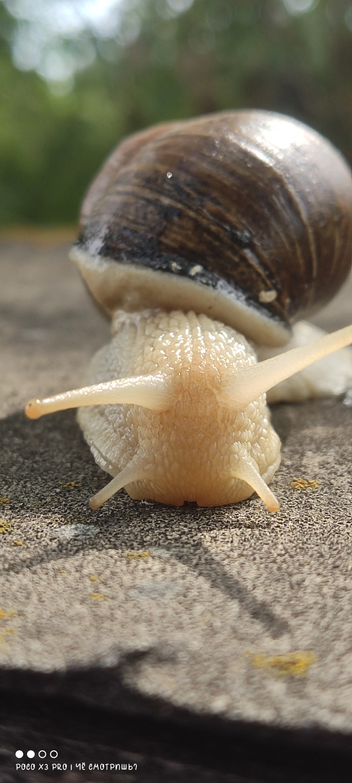        , ,  , , ,  , 