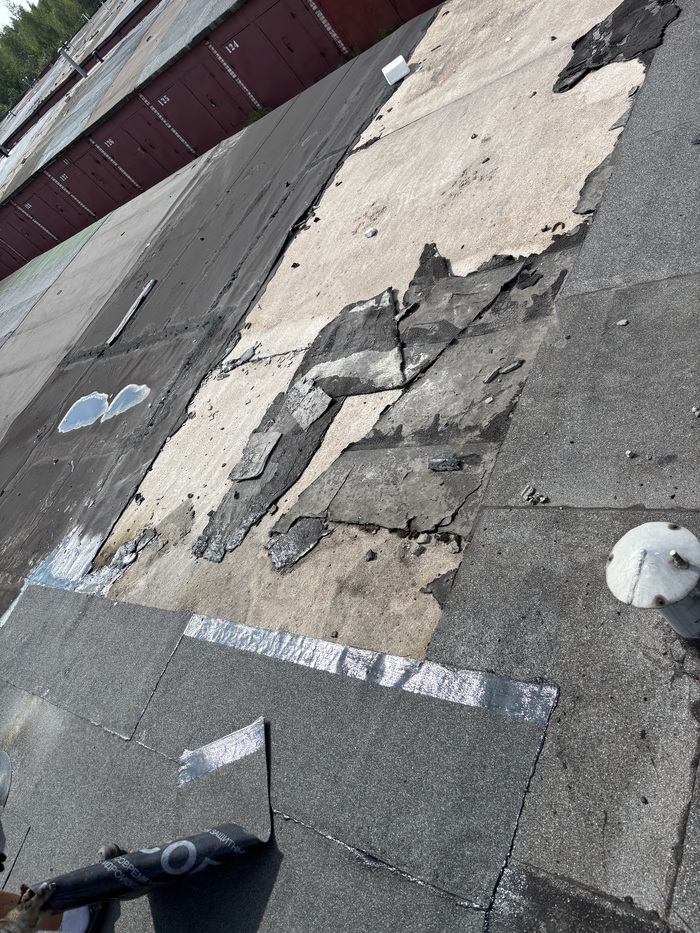 Крыша соседнего гаража позади моего