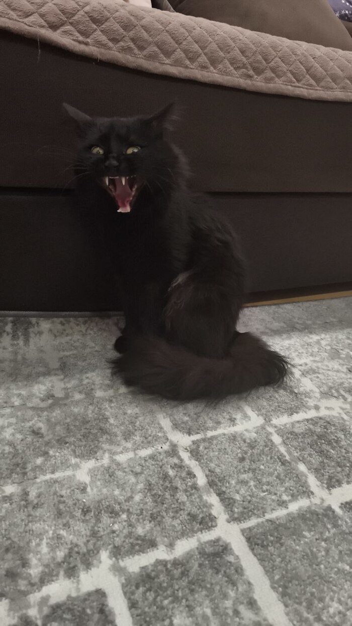 ������ ��� �������?