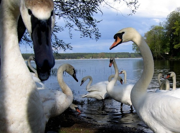 Когда нечаянно зашел в класс к старшеклассникам.