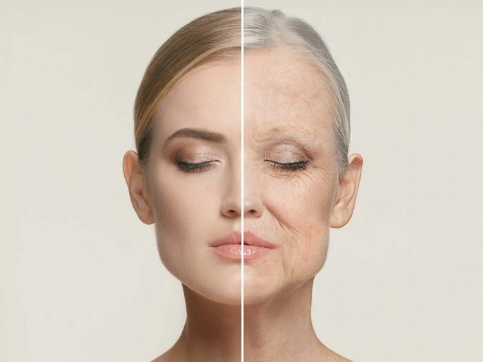 Anti-Age :   , , ,  , , , , , , 