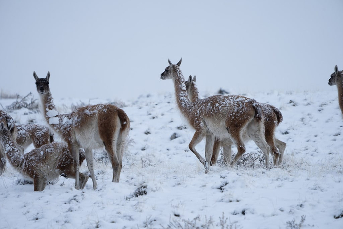 Пацаны, не знаете, почему этот песок такой белый и холодный?