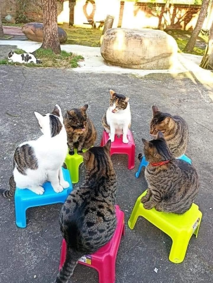  , 