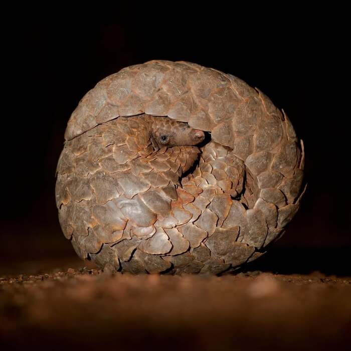   , ,  ,  ,   ,  , 