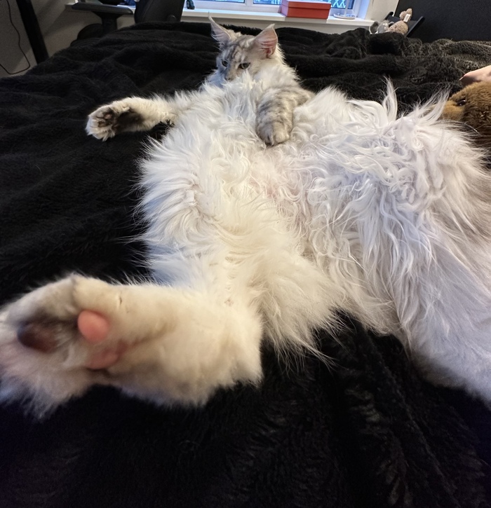 Немного «толстоты»