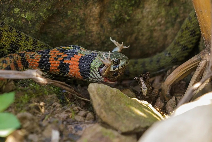 Всё лучшее — детям!