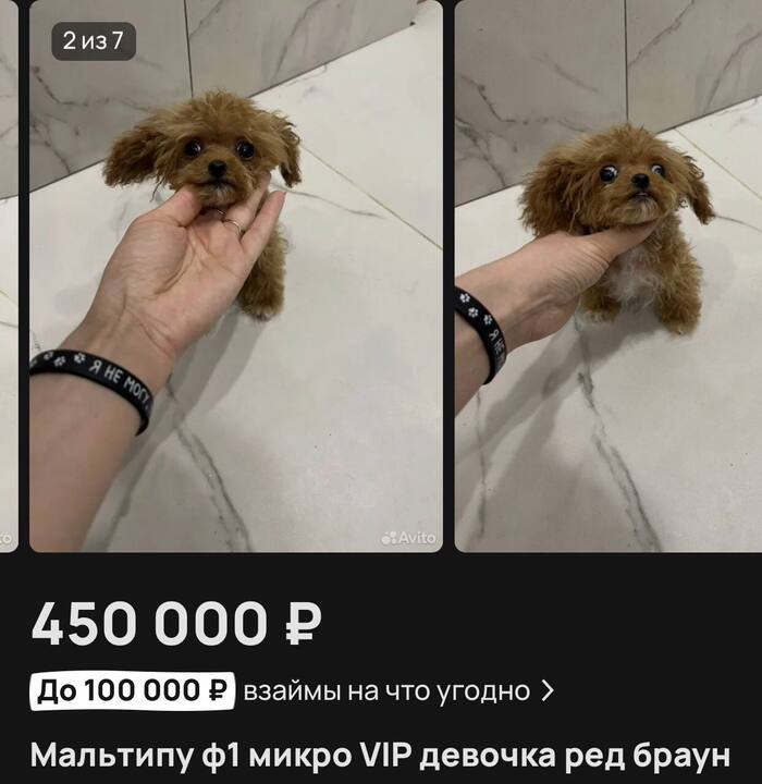  "-":     ? , ,  , 
