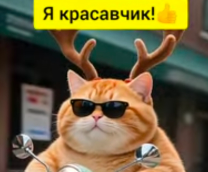 � �������