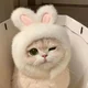 ����� ����� ������ ���� �����������