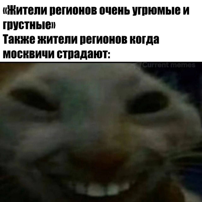 ,    , , ,   , , , 