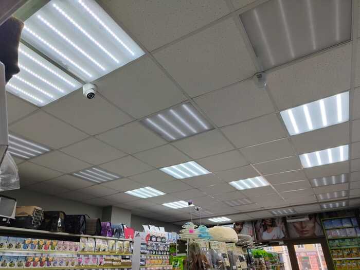 ������������ ������