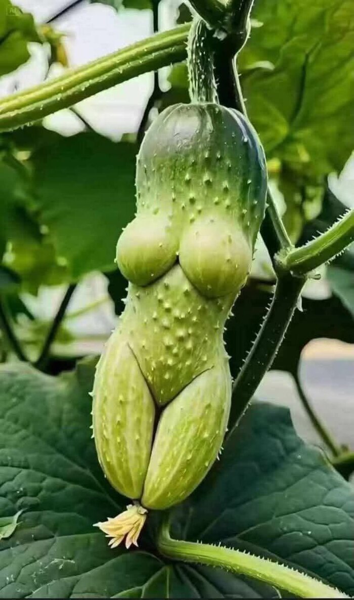   ,  , , ,  