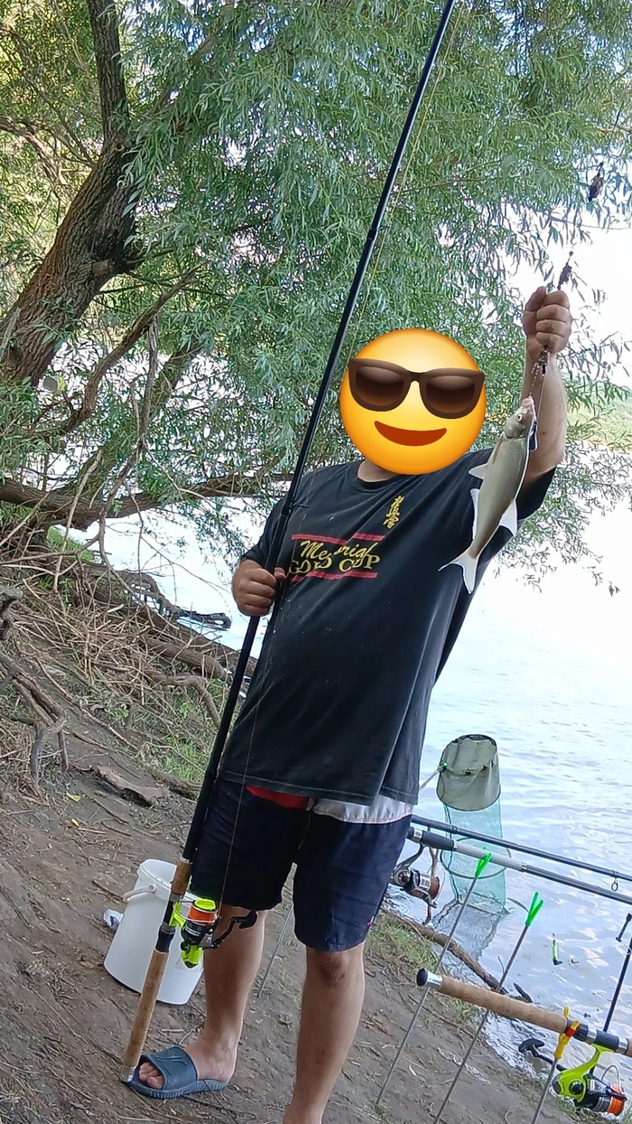      , , , , , ,   , ,  ,  ,  ,   , 