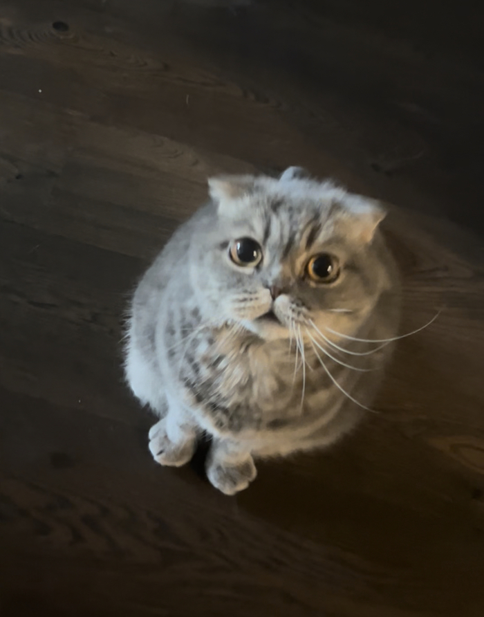       , , , , , , ,  , , ,   , 