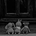 Woolenfriends