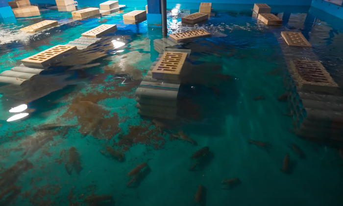 Домики для раков на ферме в Воронеже. Чем больше у раков укрытий, тем ниже уровень каннибализма!