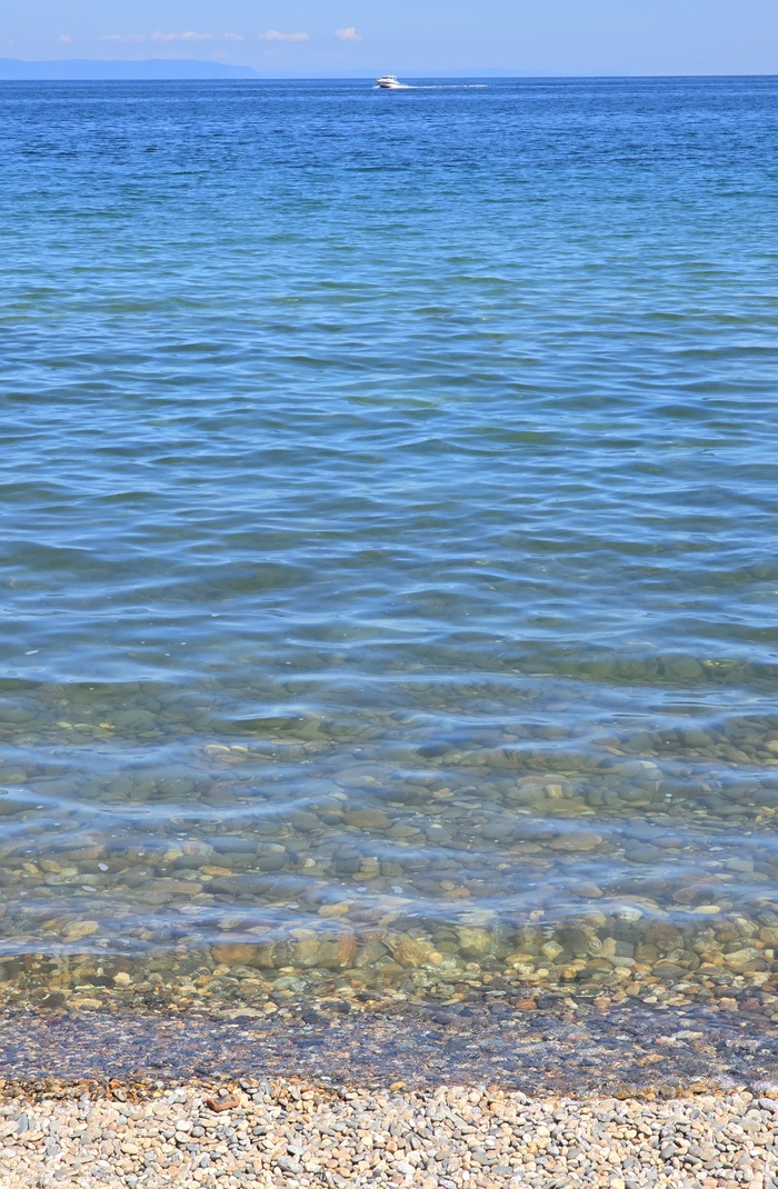 �����. �������� ����