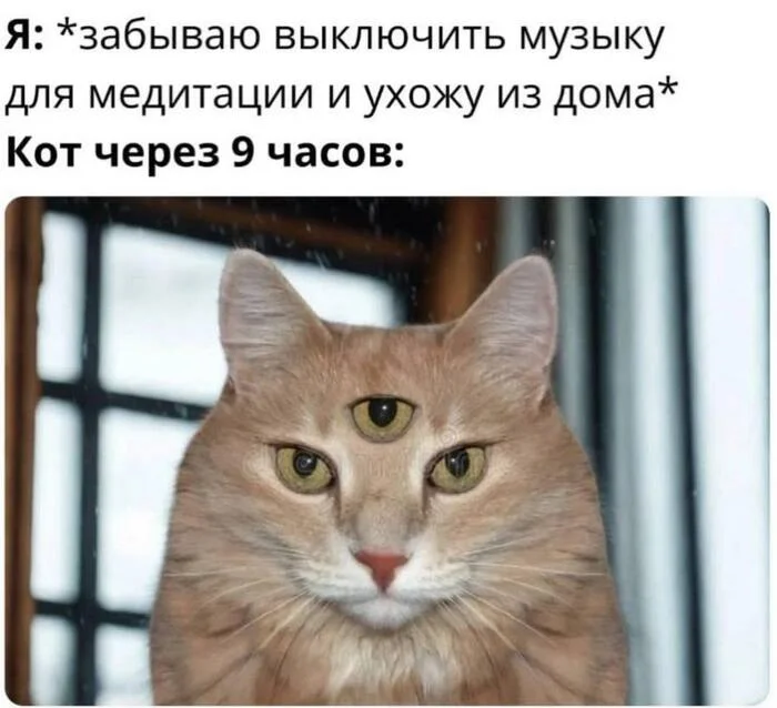 rqjvkshk.webp