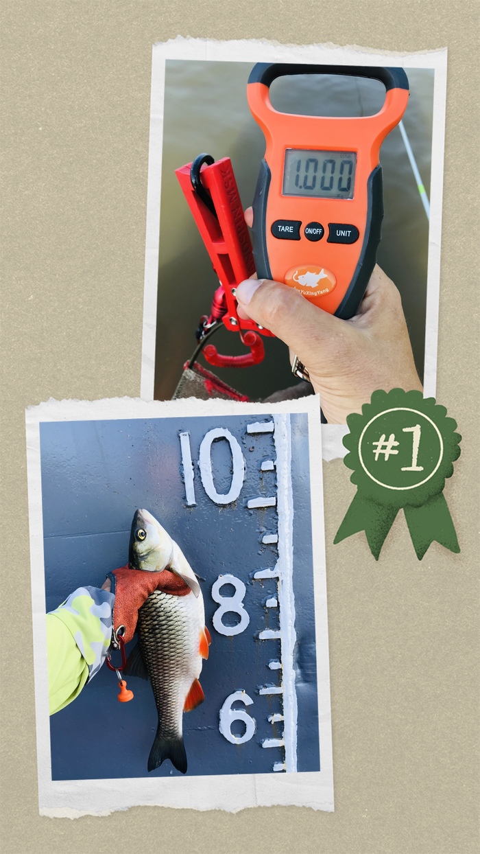 Эталонный голавль - срочно в Палату мер и весов!