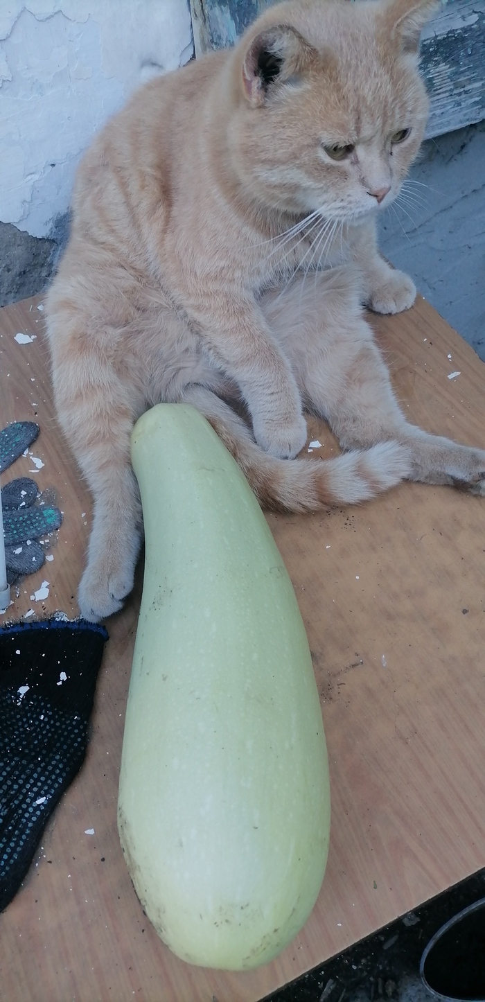  , , , , 