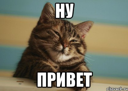    Volkswagen Passat B8.    