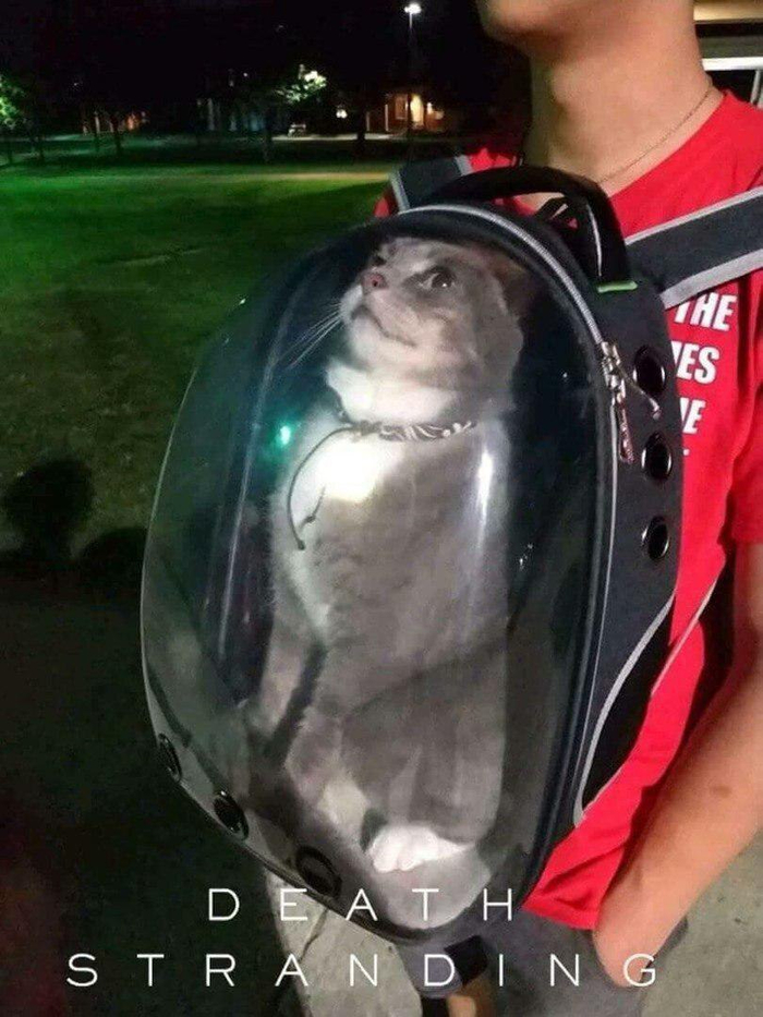     , , , , Death Stranding,  