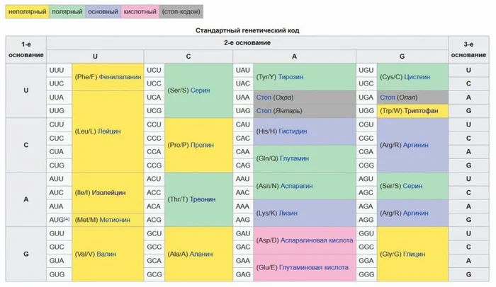 Православие, Дао и Буддизм. И-Цзин и генетический код Бог, Человек, Религия, Цивилизация, Генетика, Православие, Буддизм, Дао, Даосизм, Христианство, Вера, Церковь, Наука, Длиннопост