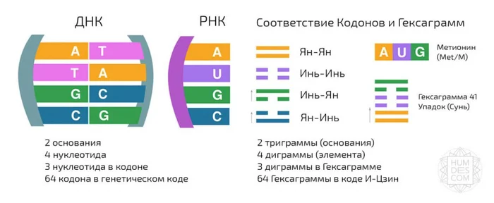 Православие, Дао и Буддизм. И-Цзин и генетический код Бог, Человек, Религия, Цивилизация, Генетика, Православие, Буддизм, Дао, Даосизм, Христианство, Вера, Церковь, Наука, Длиннопост