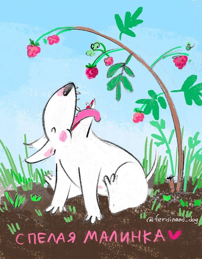 ���� � ��� ������) 