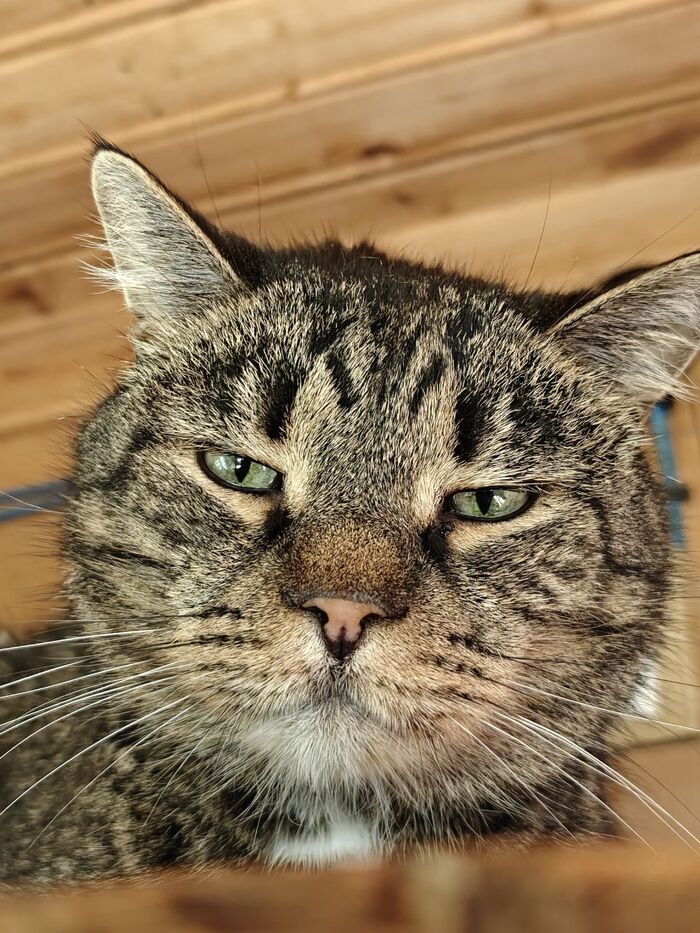 Снова думсуролишь?