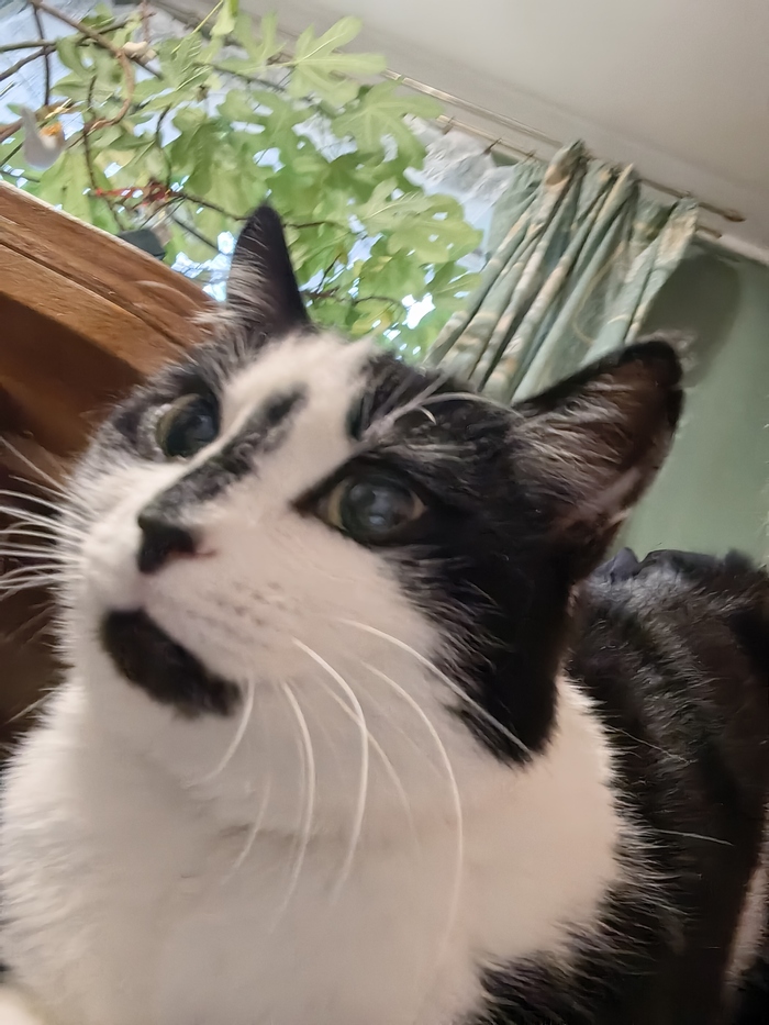  ,   , ,  ,  ,  , 
