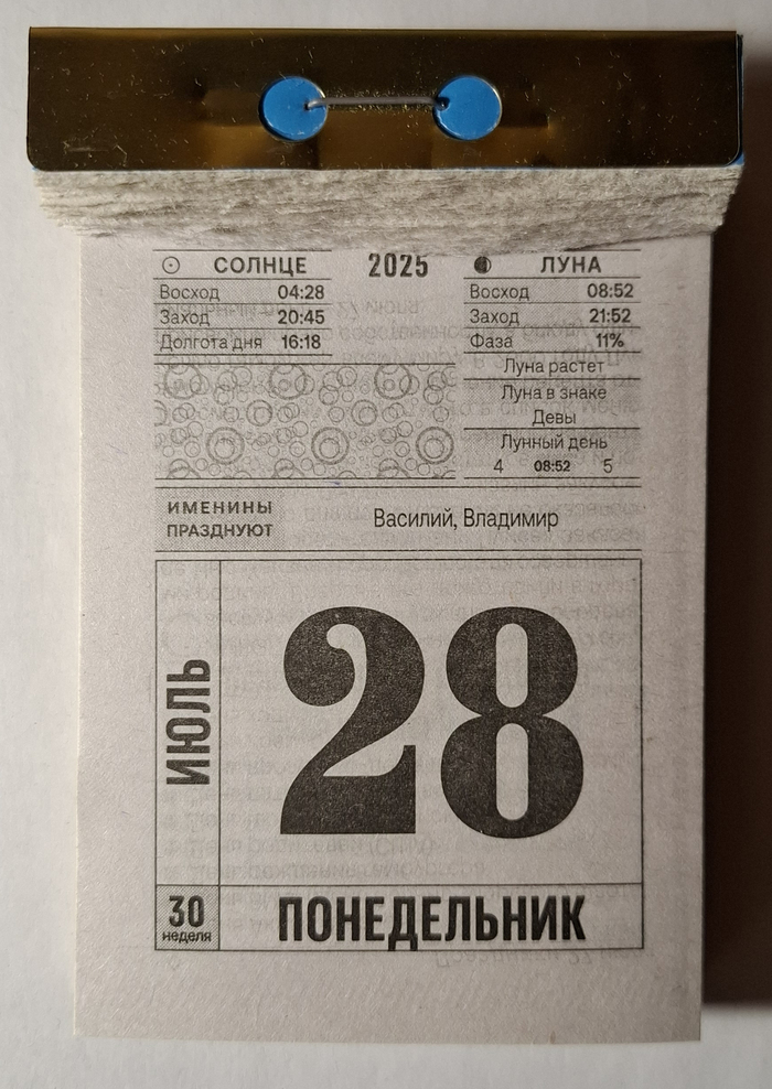 2025. 28   , , 2025, 