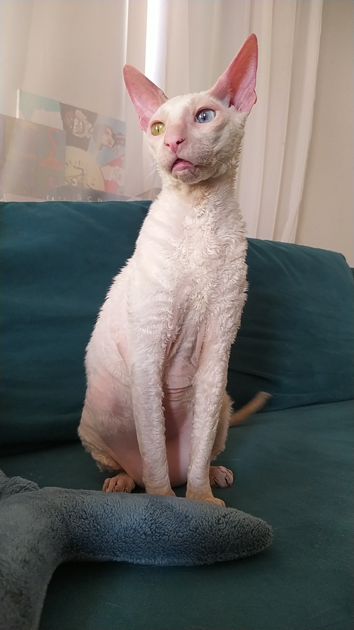 ,    .  ,      , -, 