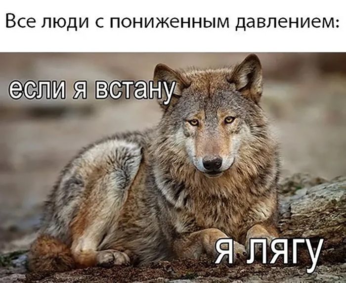     , , , , ,  ,  , , , , , , , 