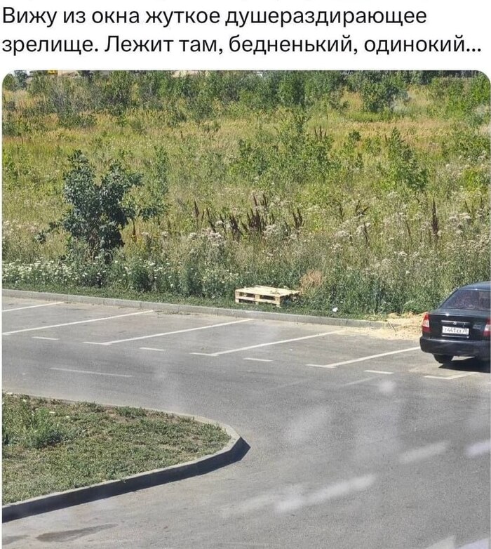    ... , ,   ,  