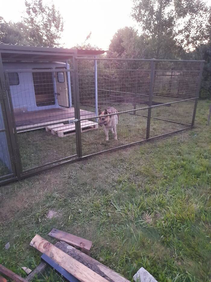 Пират в своём новом вольере