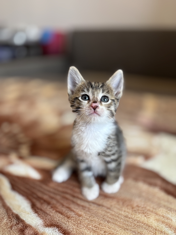     , ,   , , , , ,  ,  ,  ,  ,  , 