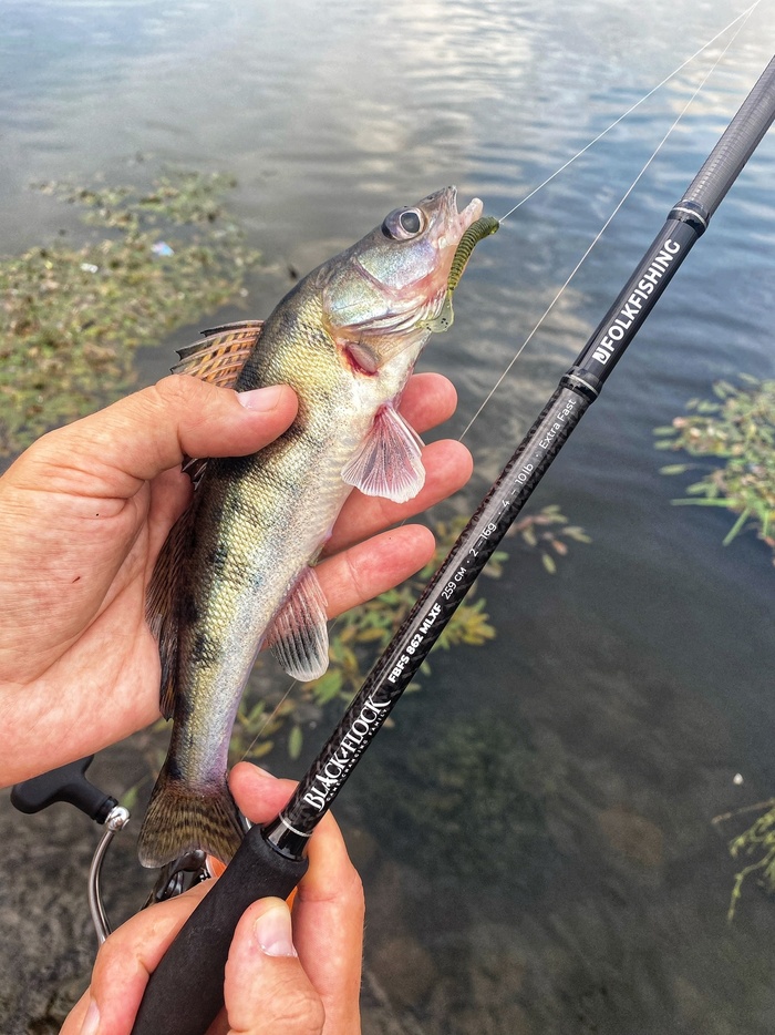 Folkfishing Black Flock FBFS862 MLXF      , , , , ,   ,  , , 