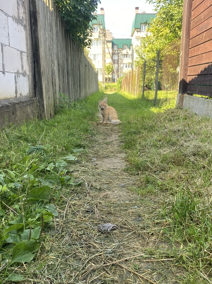  , , , ,  , , ,  , 