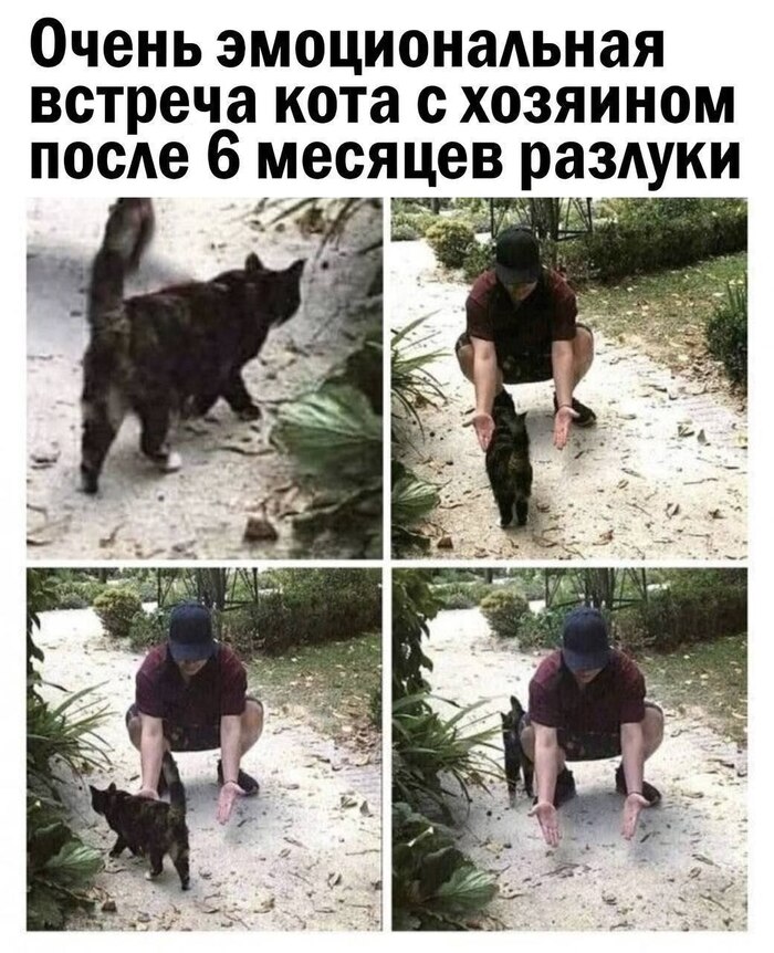     ,  , , , ,   , , , 